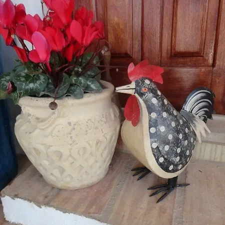Winniehill Bed and breakfast Estoi